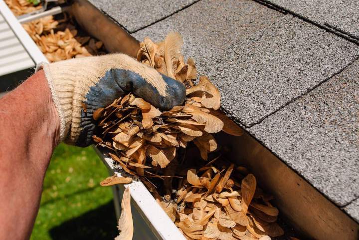 Retrait des feuilles des gouttières Flers